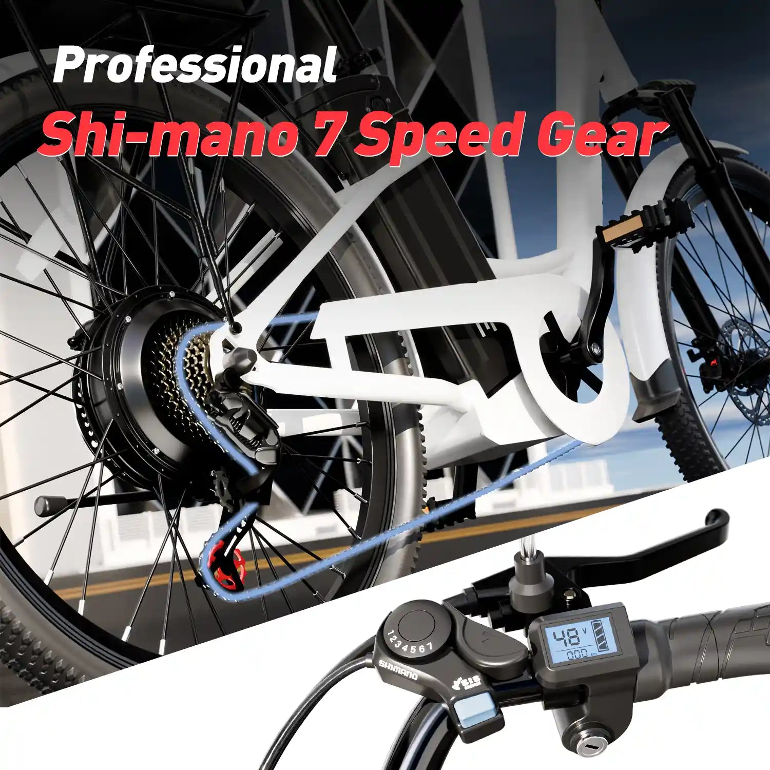 DDC CS20 500W Electric Bike | 24" Beach Cruiser for Adults