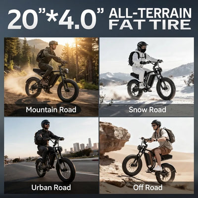HIEHA® SU8 1.0 Moped-Style Electric Bike