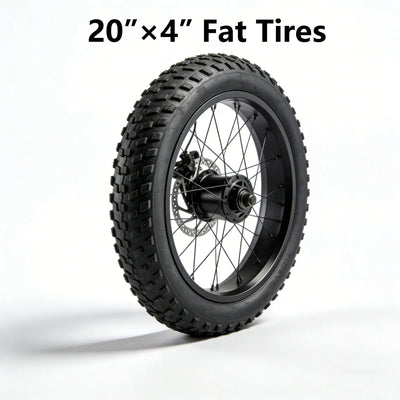20×4.0 inch fat tire assembled with e-bike wheel hub motor, off-road electric bike wheel, complete replacement wheel for fat bike