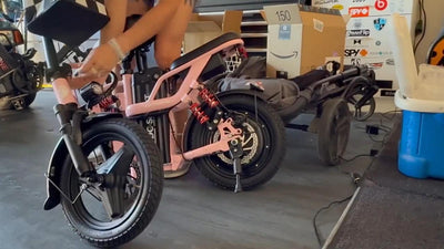 Folding Electric Bike